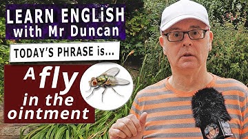 Is there a FLY in the OINTMENT? - Learn English phrases with Mr Duncan #englishaddictwithmrduncan