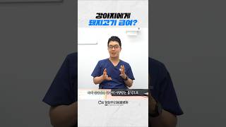 강아지에게 돼지고기 급여는 안전할까?🐶🥩 #동물병원