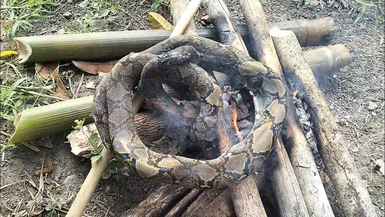 nunu ular sawa ( membakar ular sawa / python) - YouTube