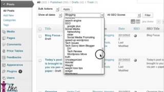 How To Categorize Multiple Posts In WordPress In Bulk
