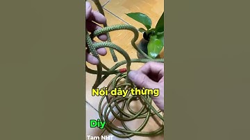 Hướng dẫn cách nối dây thừng tròn xanh #diy #meovatvathuthuat #tips #tamnht #daythung #Shorts