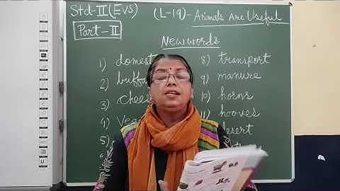 II EVS Chapter 19 Animals are Useful Part 2