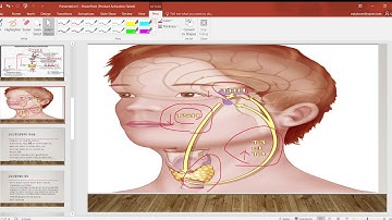 36번째 주제: PTU 또는 메티마졸을 먹게 만드는 갑상선항진증은 무엇이고 어떻게 관리해야할까?(약사park구독과 좋아요 감사합니다)