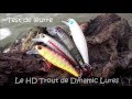 Test de leurre  le trout de dynamic lures