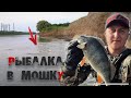 Рыбалка на Ахтубе в сезон мошки Ч.1 | Дорога, поиск рыбы, результат - поклевки на каждом забросе