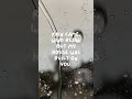 House shaking, heart steady because of you #asmr #emotional #rainsounds