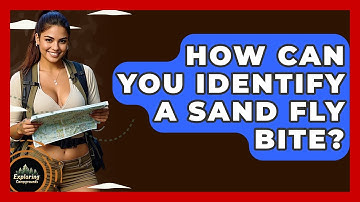 How Can You Identify A Sand Fly Bite? - Exploring Campgrounds