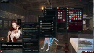 Vindictus Bug