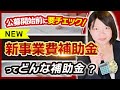 【新事業費補助金】事業再構築補助金の後継と言われている補助金の概要が発表されました