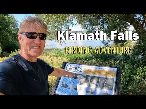 KLAMATH FALLS Birding Adventure | Episode 7 - Amtrak & Bike Summer Travel 2022