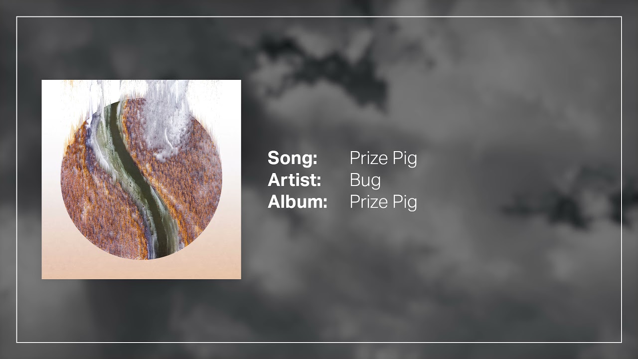 Bug - "Prize Pig"