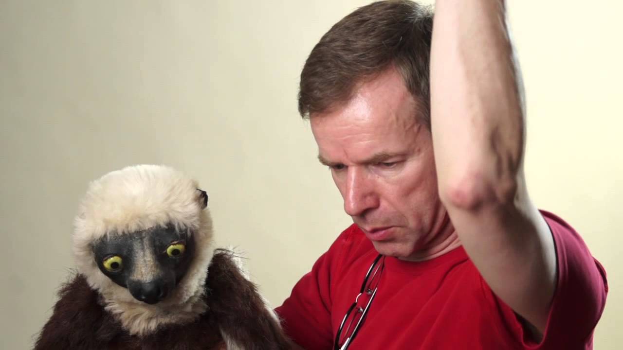 Outstanding Achievement Award to the Kratt's Brothers