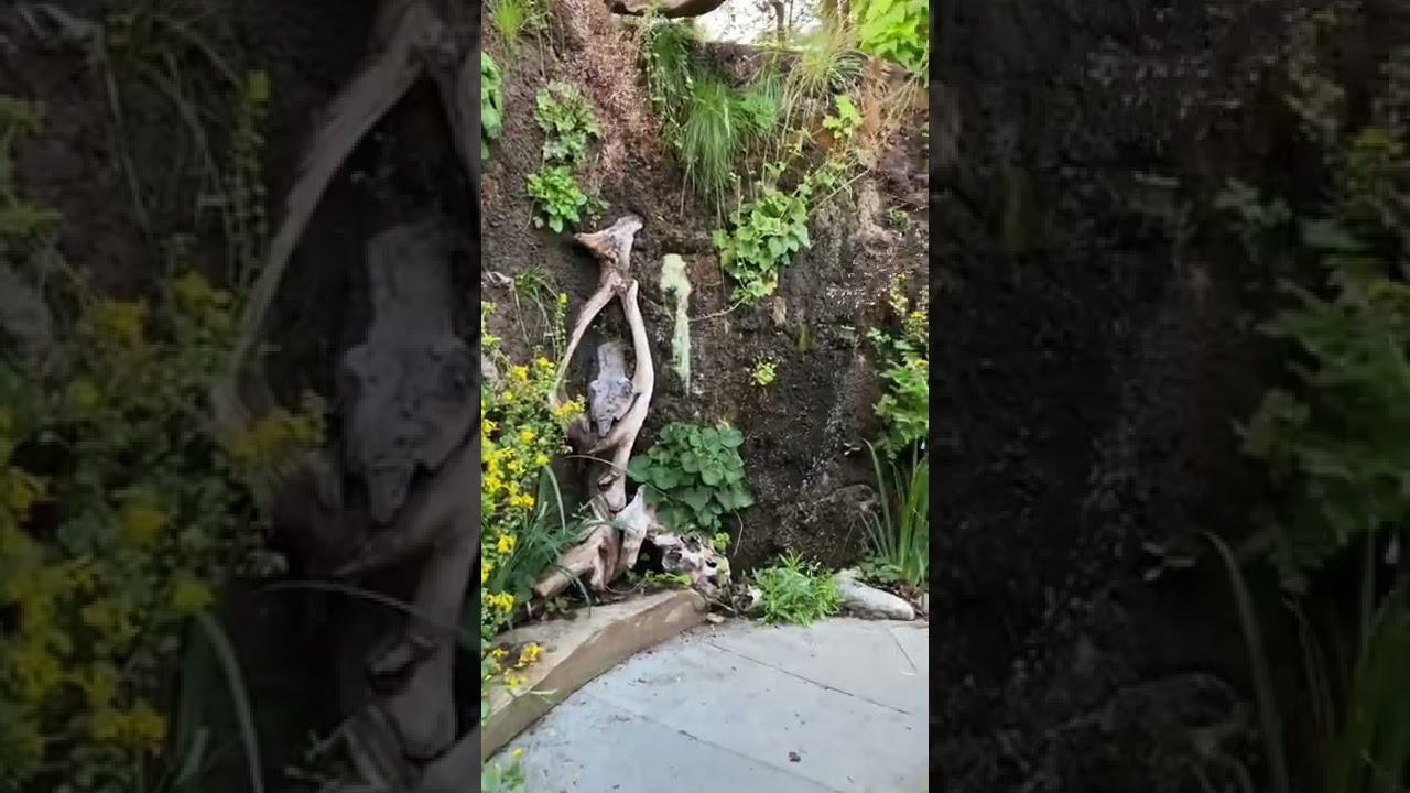 Enchanting City Garden in Historic Ferndale CA-Hadley Garden