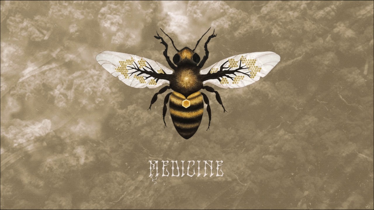Bees Made Honey in the Vein Tree - Sail Away I