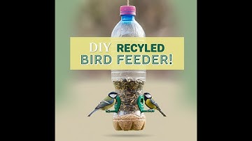 DIY Recycled Bird Feeder: Easy Eco-Friendly Project for Your Garden!