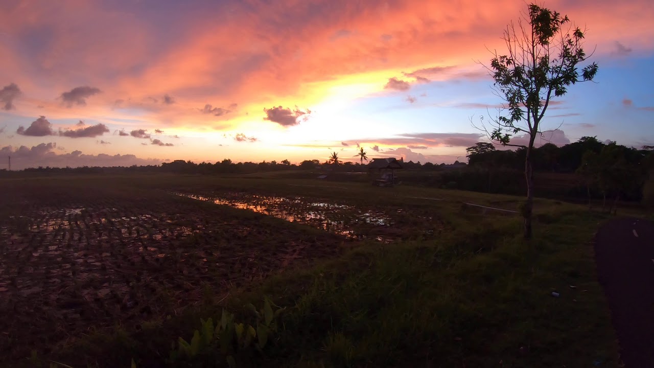Just an AMAZING SUNSET in Canggu, BALI - YouTube