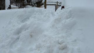 Snowmageddon Nova Scotia - how to get to the grocery store