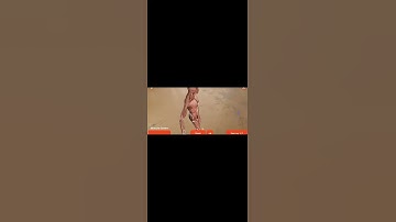 HCI P2 : USER 1 - TASK 2