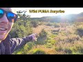 Extremely close mountain lion encounter! - Surprised by a wild Puma in Chilean Patagonia!