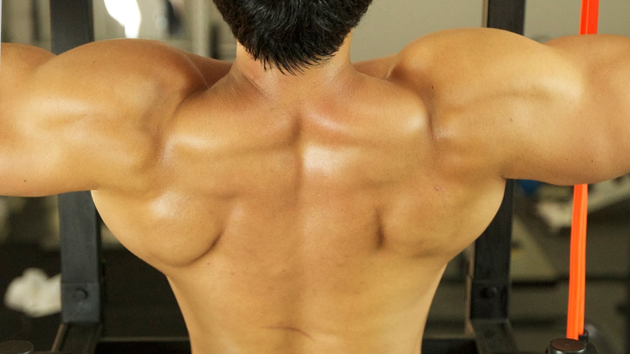 How to Build a V-Shape Back (FULL Workout Routine)