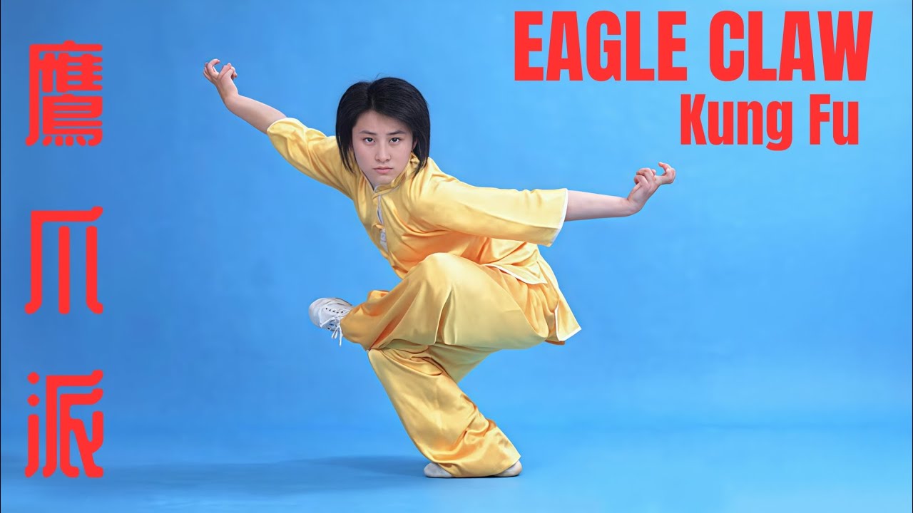 🇨🇳 鷹爪派 EAGLE CLAW KUNG FU 