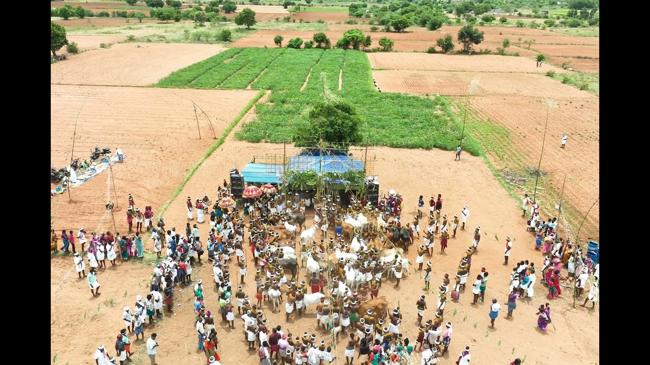 முத்தம்பட்டி / மாலை வீடியோ / ஶ்ரீ வேலன் ஸ்டுடியோ /விராலிமலை.