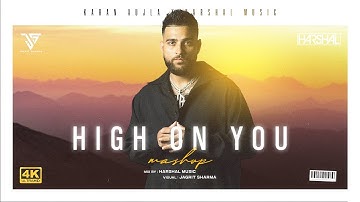 High On You Mashup | Harshal Music | Karan Aujla X Sukha X Mickey Singh | Punjabi Mashup 2025