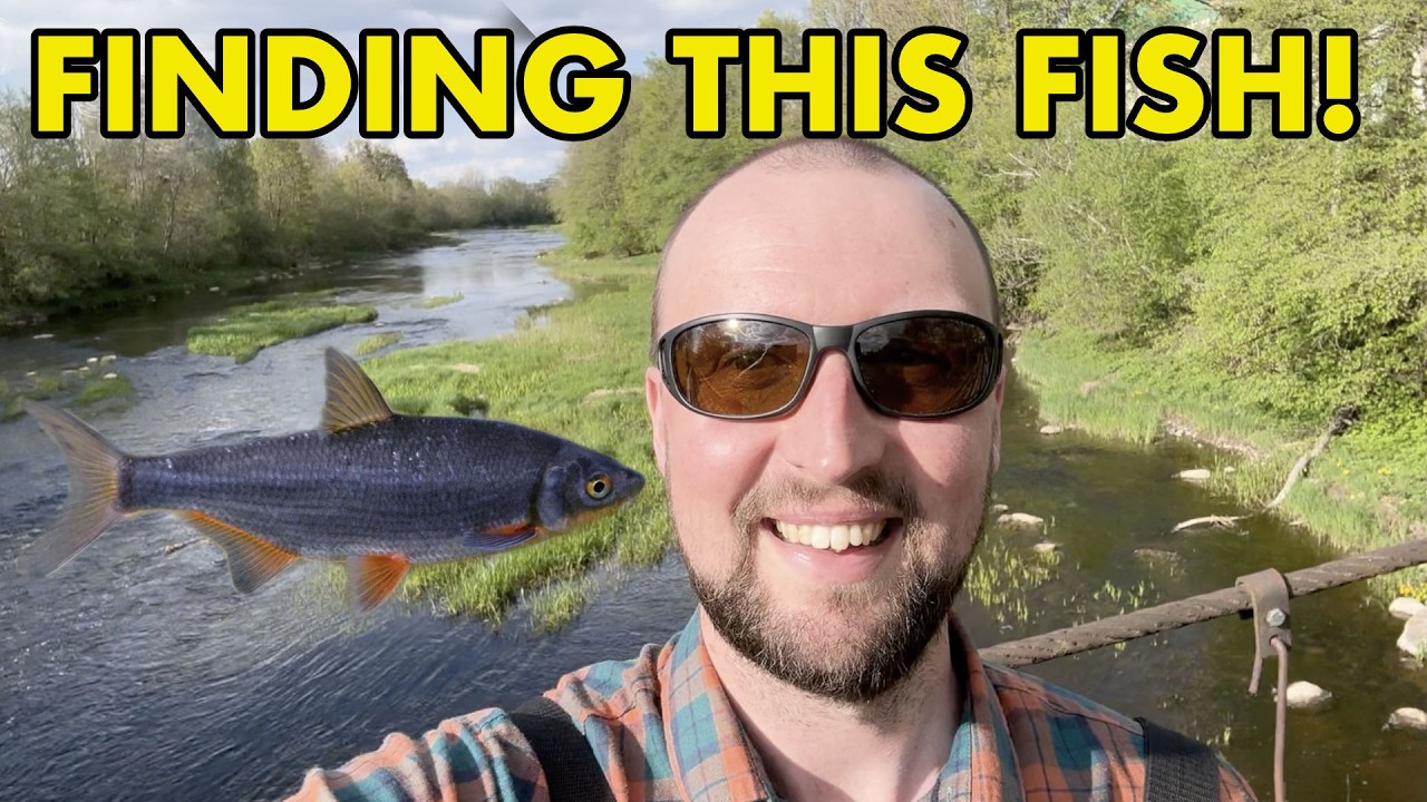 Tracking Down Estonia's Freshwater Fish (New Species For Me)