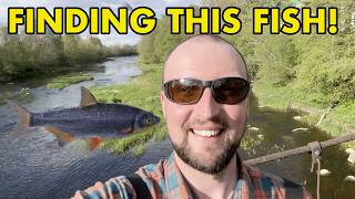 Tracking Down Estonias Freshwater Fish New Species For Me
