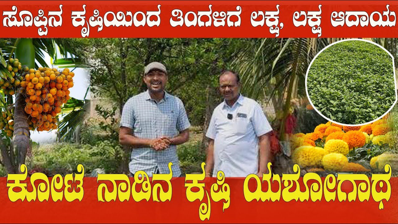 ಸೊಪ್ಪಿನ ಕೃಷಿಯಿಂದ ಲಕ್ಷ, ಲಕ್ಷ ಆದಾಯ|| ಕೋಟೆ ನಾಡಿನ ಕೃಷಿ ಯಶೋಗಾಥೆ