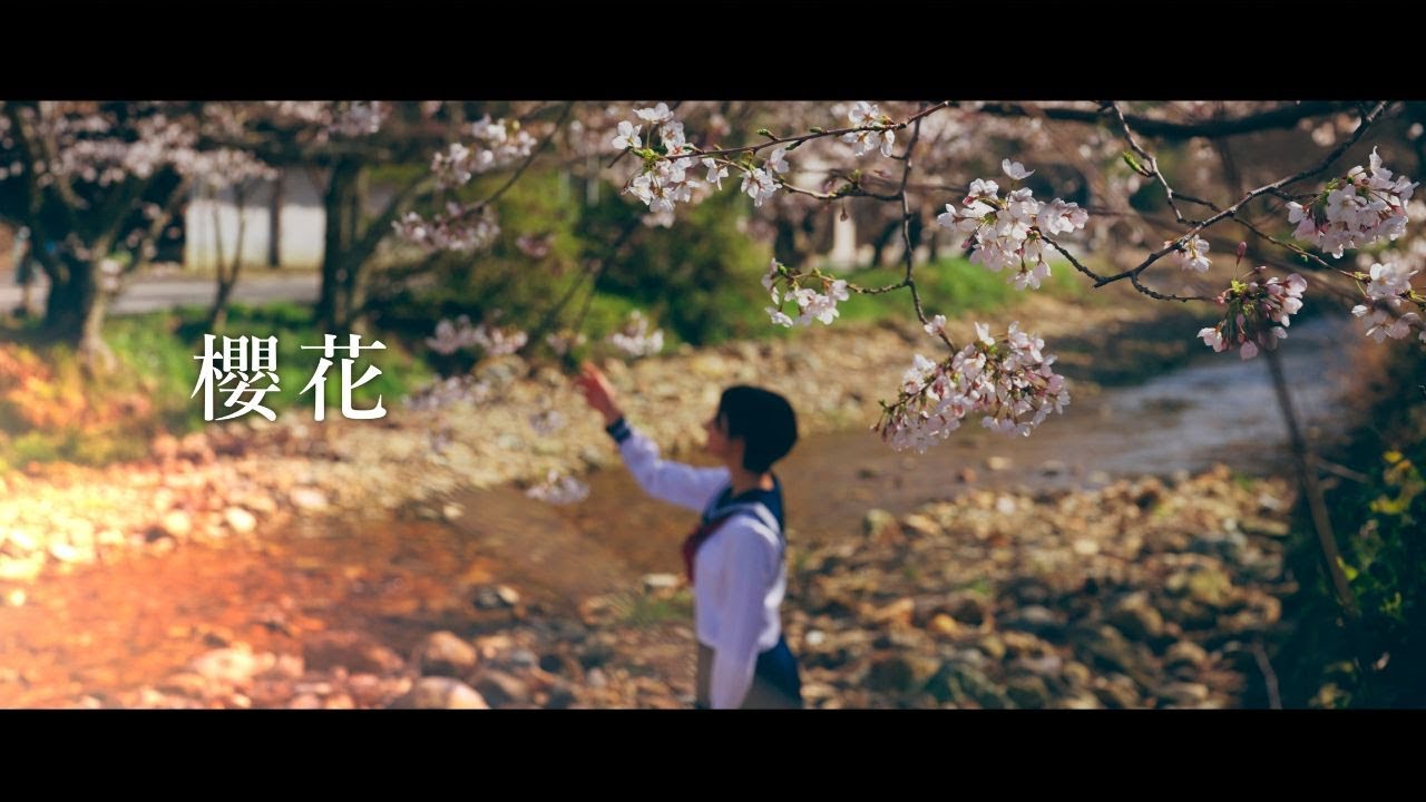 HANCE - 櫻花 / sakura-bana (Official Music Video) auf YouTube ansehen HANCE - 櫻花 / sakura-bana (Official Music Video) auf YouTube ansehen
