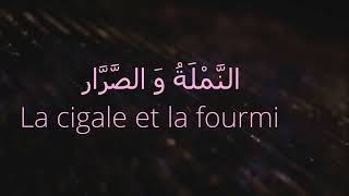 La cigale et la fourmi / قِصَّة النَّمْلَة وَ الصَّرار