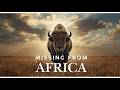 Why There Are NO Bison In Africa The Real Reason Why There Are NO Bison In Africa The Real Reason