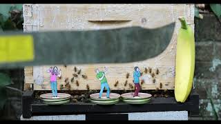 Bees React to Alarm Pheromones / Voodoo - Season 1, Episode 31