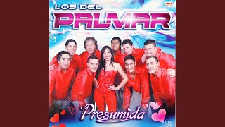 Video thumbnail of "Los Del Palmar - Amor Maldito"