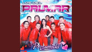 Miniatura de "Los Del Palmar - Amor Maldito"