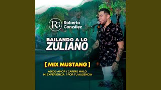 Mix Mustang : Adios Amor / Cariño Malo / Mi Experiencia / Por Tu Ausencia (Bailando a Lo Zuliano) - Roberto González
