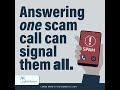 Answering one scam call...
