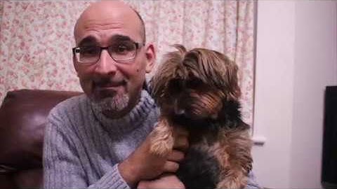 Defending your research methods (and other Greek Words) for UG dissertations