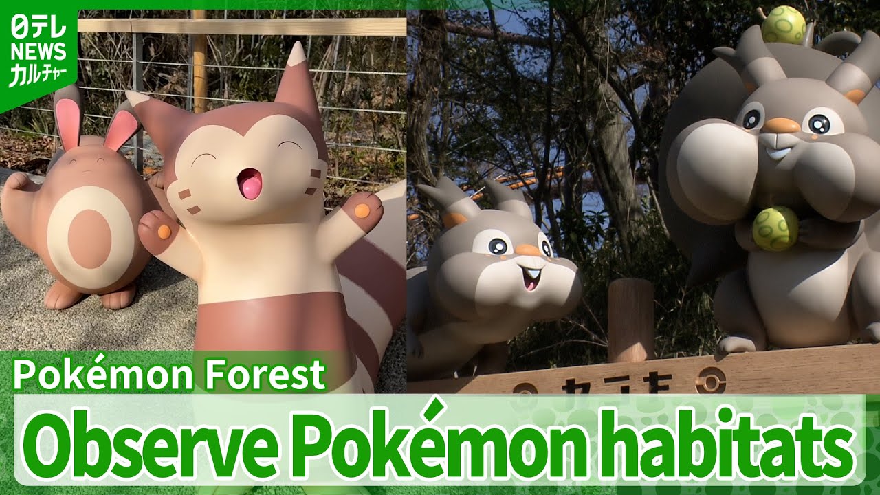 UNVEILED 'PokéPark KANTO': A Sprawling 500-Meter Forest Where