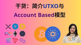 干货讲解UTXO与Account Based 模型 #ada币 #utxo  #币圈 #质押