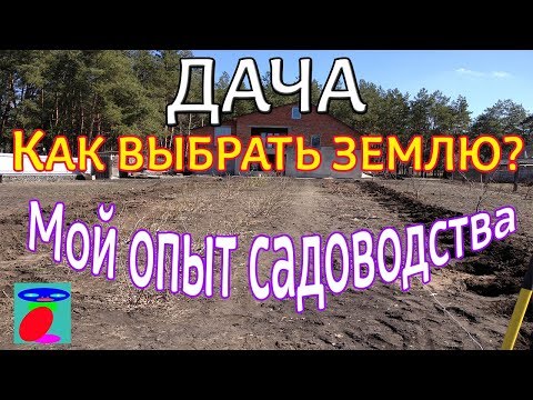 Видео: Кипарисово блато: описание, засаждане и грижи