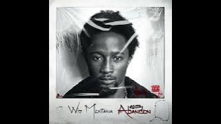 WIZ MONTANA - DJ [ AUDIO]