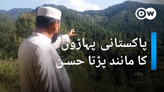 DW Urdu|وادی تیراہ کا حسن درختوں کے بے دریغ کٹائی سے مانند پڑتا ہوا