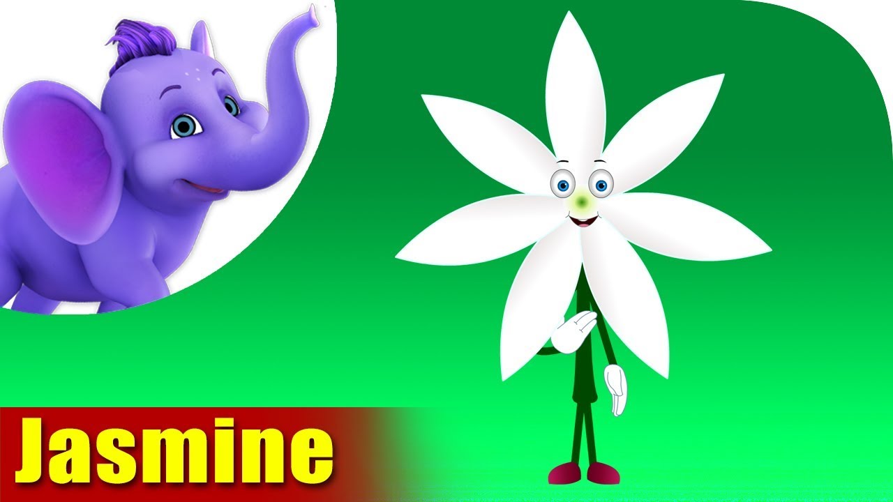 Jasmine Flower Song 4k Appu Series Youtube