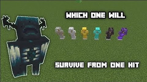 which armor can save you from warden