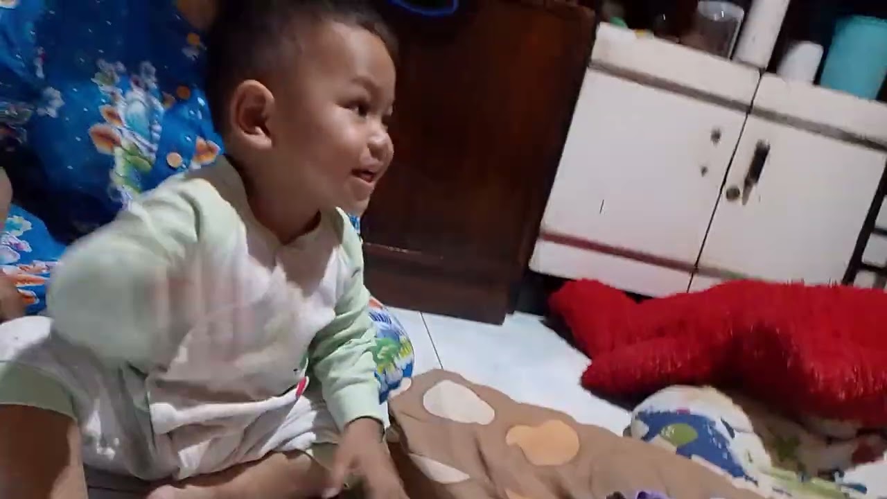 Cerita kucing berantem #storytelling #cat 