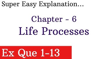 Exercise Que 1-13 | Chapter 6 - Life Processes |NCERT SOLUTION FOR CLASS 1O SCIENCE