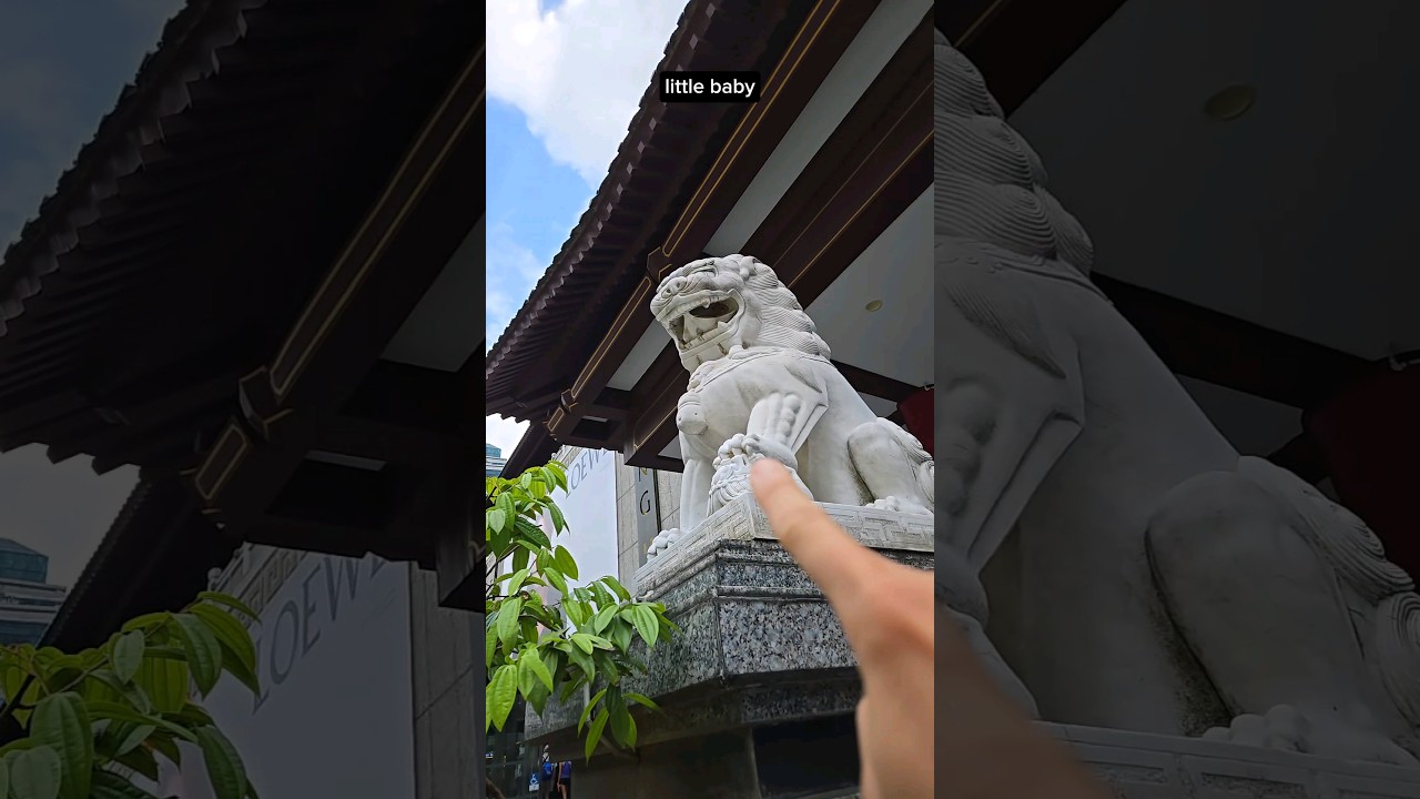 Did you know these Chinese lions have genders? Heres how you can tell them apart!