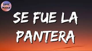 🎵 Grupo Firme, Grupo Recluta – Se Fue La Pantera (Letra\\\\Lyrics)